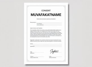 How to Download a Muvafakatname in Word or PDF Format muvafakatname download format